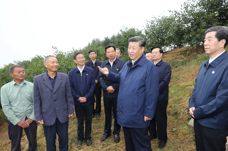 　　9月16日至18日，中共中央總書記、國家主席、中央軍委主席習近平在河南考察。這是17日上午，習近平來到信陽市光山縣槐店鄉(xiāng)司馬光油茶園，同正在勞作的村民和管理人員交流。 新華社記者 鞠鵬 攝