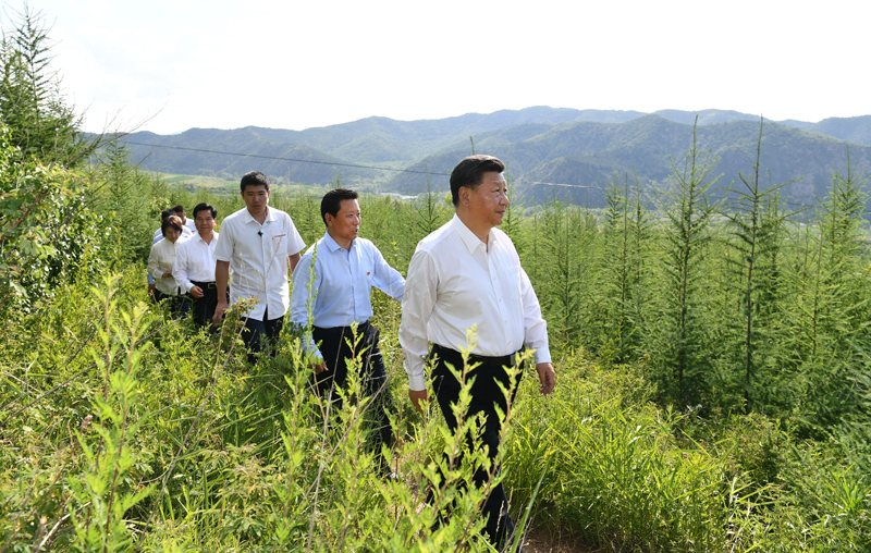 7月15日至16日，中共中央總書記、國家主席、中央軍委主席習(xí)近平在內(nèi)蒙古考察并指導(dǎo)開展“不忘初心、牢記使命”主題教育。這是15日下午，習(xí)近平在赤峰市喀喇沁旗馬鞍山林場林區(qū)，沿著崎嶇的護林小道察看林木長勢。